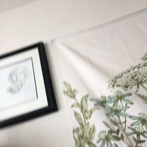 Meet your Posher, Bella